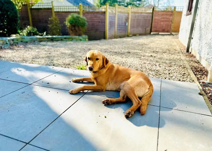 2 Bed In Oc-89794 Casa de Férias *